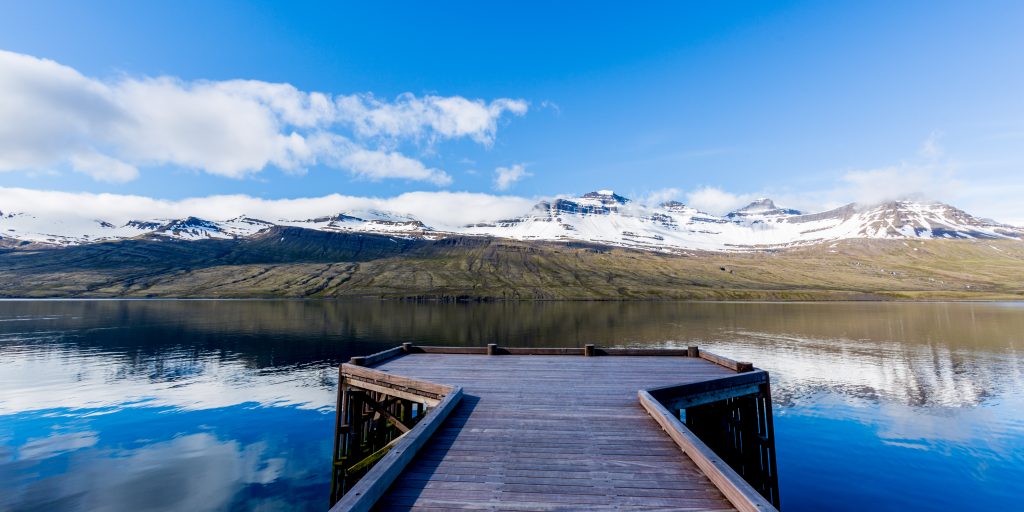 Private Whale Watching Tours in Iceland - Iceland Luxury Tours