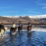 Horse Riding Tours